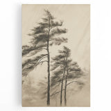 Vintage Botanical Art Print: Soft Tree Sketch Illustration