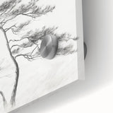 Vintage Botanical Art Print: Elegant Tree Sketch Illustration