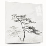 Vintage Botanical Art Print: Elegant Tree Sketch Illustration