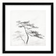 Vintage Botanical Art Print: Elegant Tree Sketch Illustration