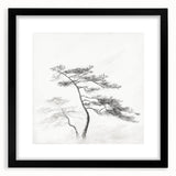 Vintage Botanical Art Print: Elegant Tree Sketch Illustration