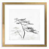 Vintage Botanical Art Print: Elegant Tree Sketch Illustration