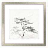 Vintage Botanical Art Print: Elegant Tree Sketch Illustration