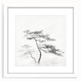 Vintage Botanical Art Print: Elegant Tree Sketch Illustration