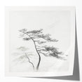 Vintage Botanical Art Print: Elegant Tree Sketch Illustration