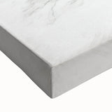 Vintage Botanical Art Print: Elegant Tree Sketch Illustration