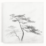 Vintage Botanical Art Print: Elegant Tree Sketch Illustration