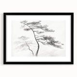 Vintage Botanical Art Prints - Retro Plant Posters