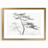 Vintage Botanical Art Prints - Retro Plant Posters