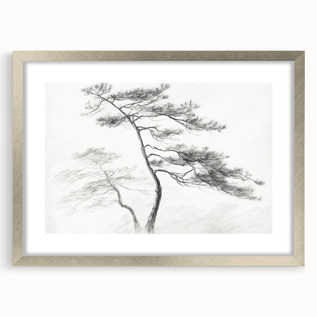 Vintage Botanical Art Prints - Retro Plant Posters