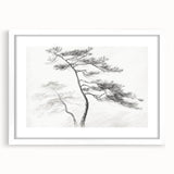 Vintage Botanical Art Prints - Retro Plant Posters