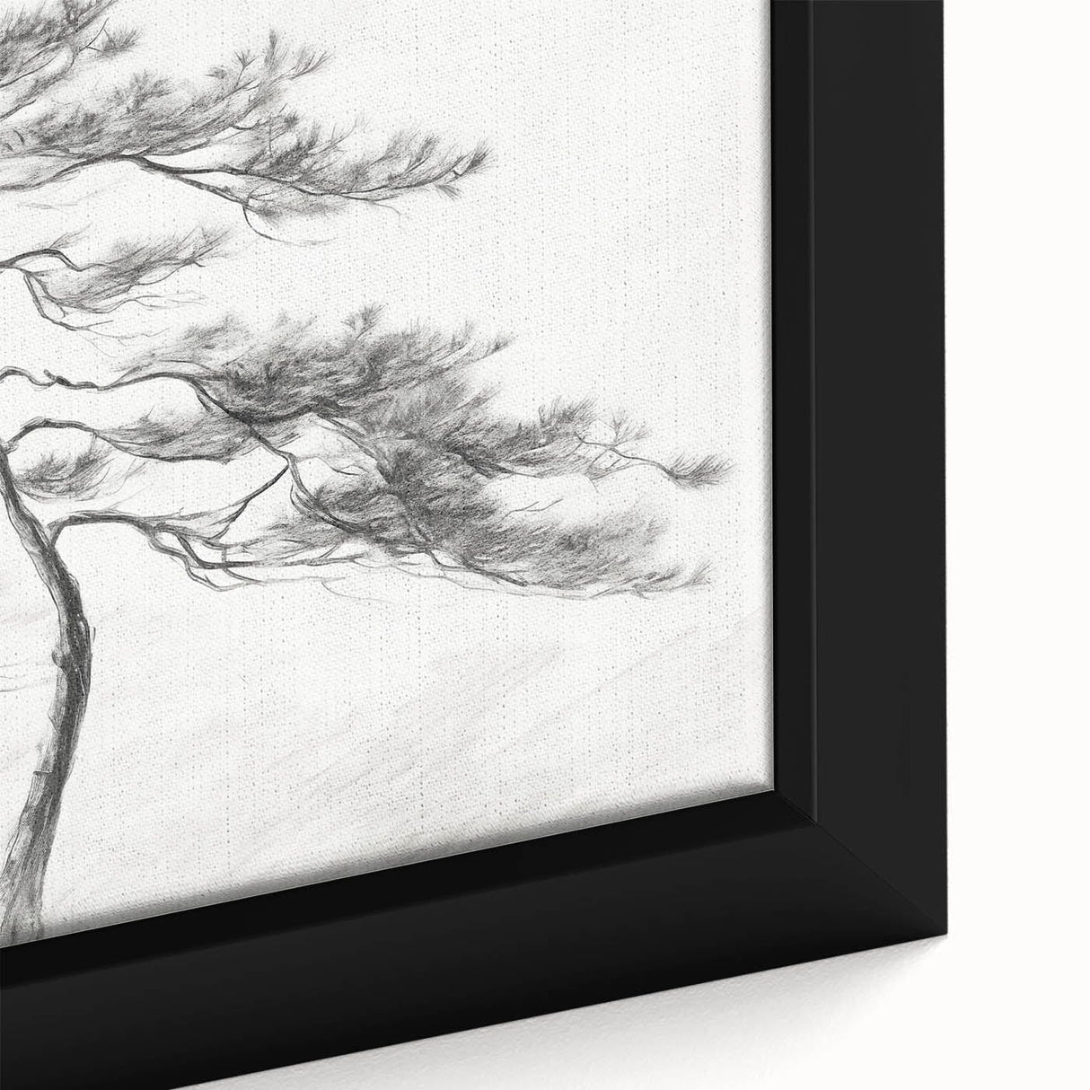 Vintage Botanical Art Prints - Retro Plant Posters