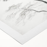 Vintage Botanical Art Prints - Retro Plant Posters