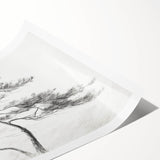 Vintage Botanical Art Prints - Retro Plant Posters