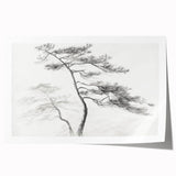 Vintage Botanical Art Prints - Retro Plant Posters