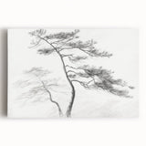 Vintage Botanical Art Prints - Retro Plant Posters