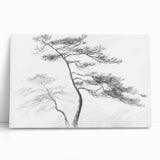 Vintage Botanical Art Prints - Retro Plant Posters