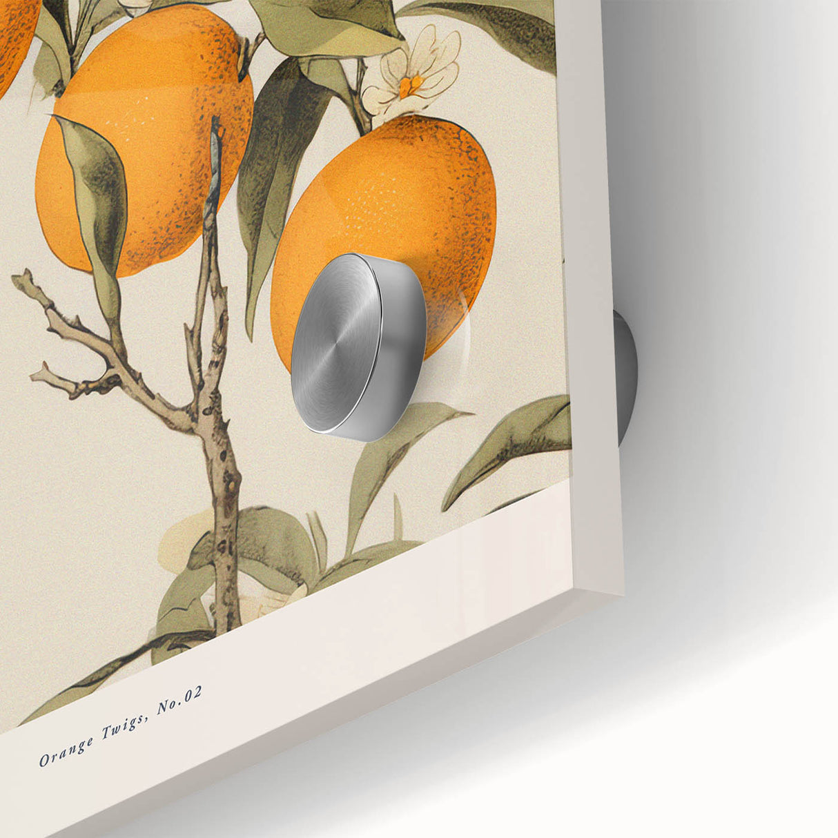 Vintage Botanical Orange Tree Print – Retro Citrus Wall Art