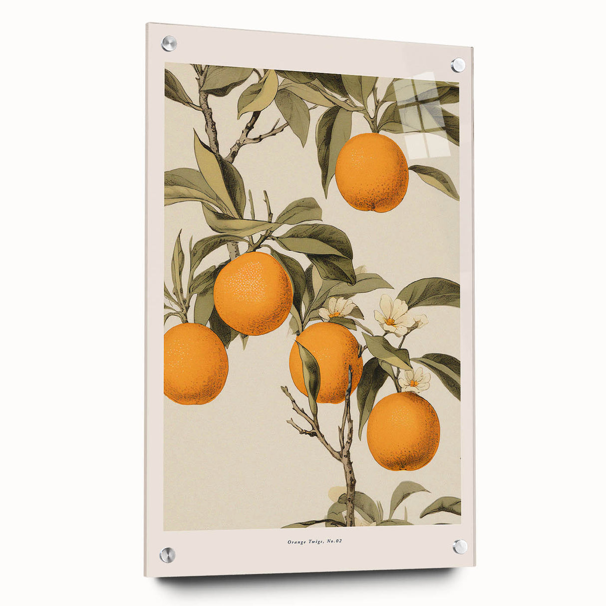 Vintage Botanical Orange Tree Print – Retro Citrus Wall Art