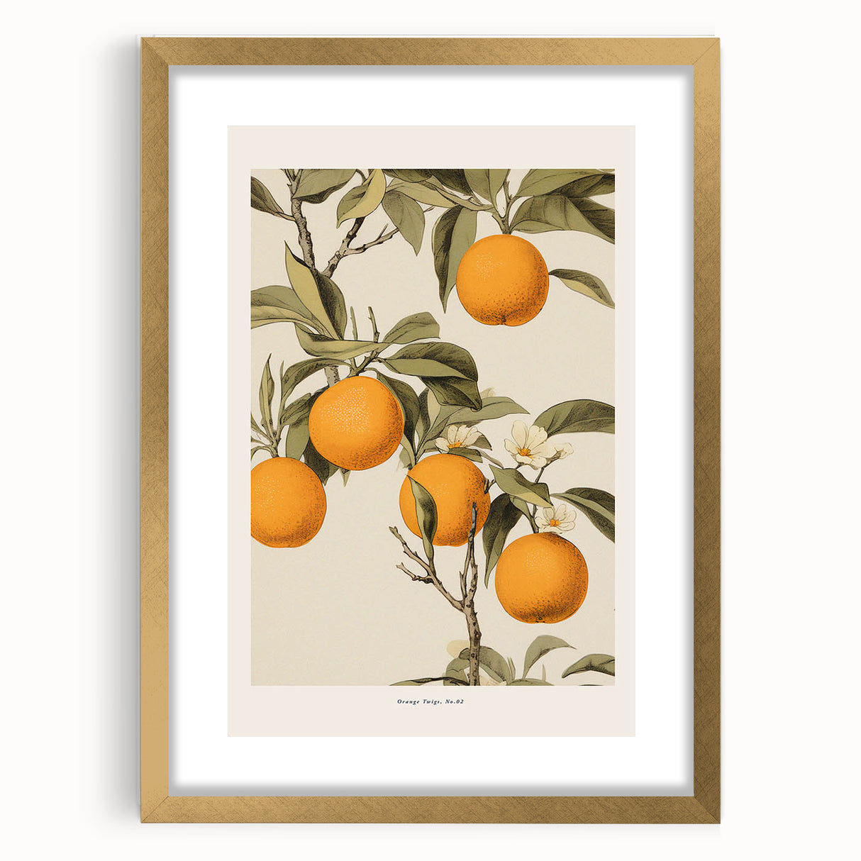 Vintage Botanical Orange Tree Print – Retro Citrus Wall Art
