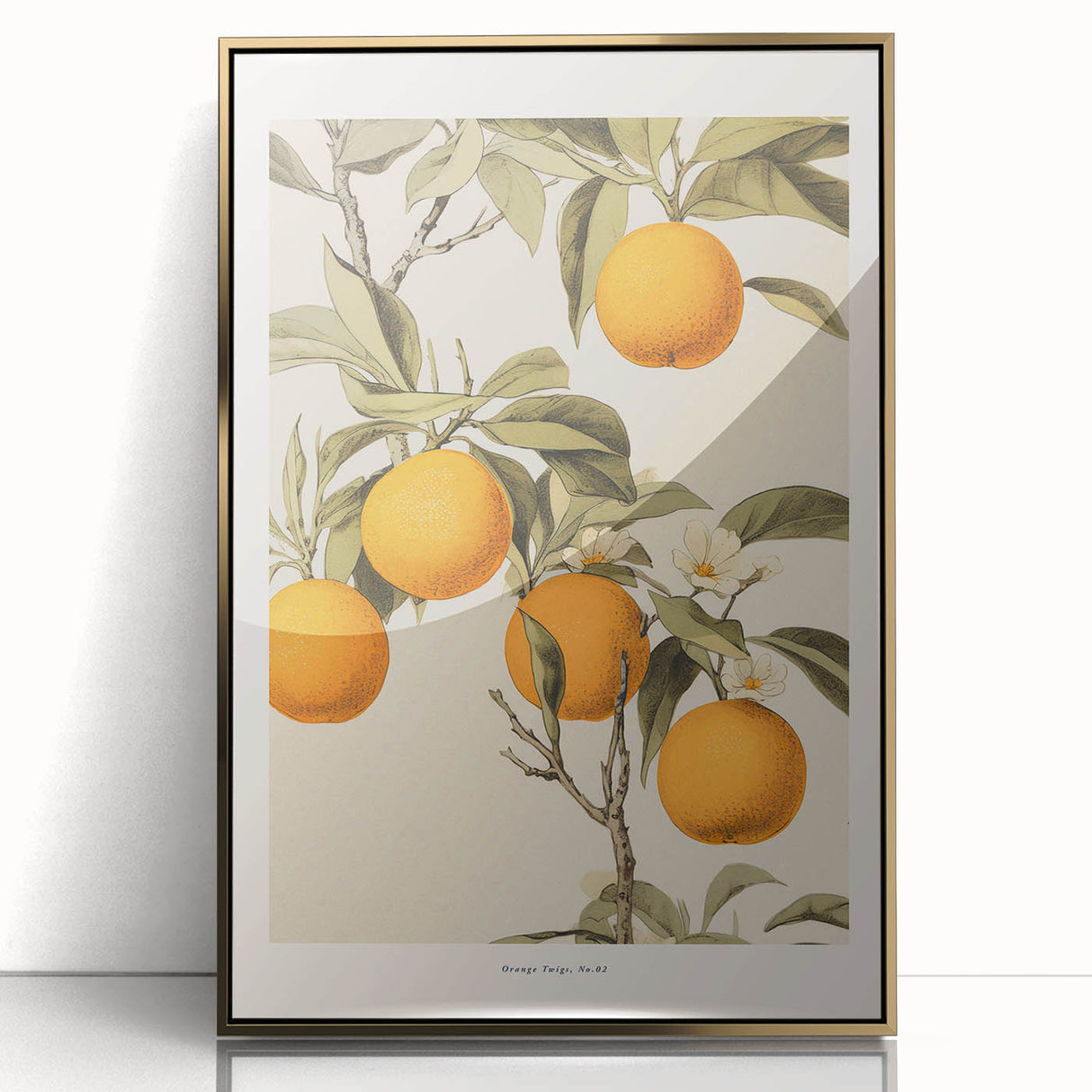 Vintage Botanical Orange Tree Print – Retro Citrus Wall Art