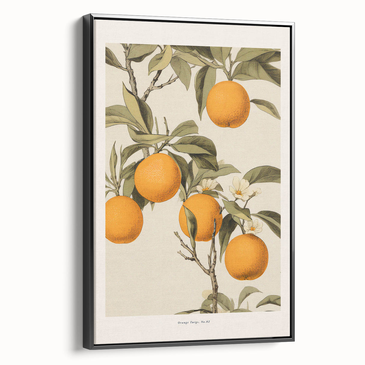 Vintage Botanical Orange Tree Print – Retro Citrus Wall Art