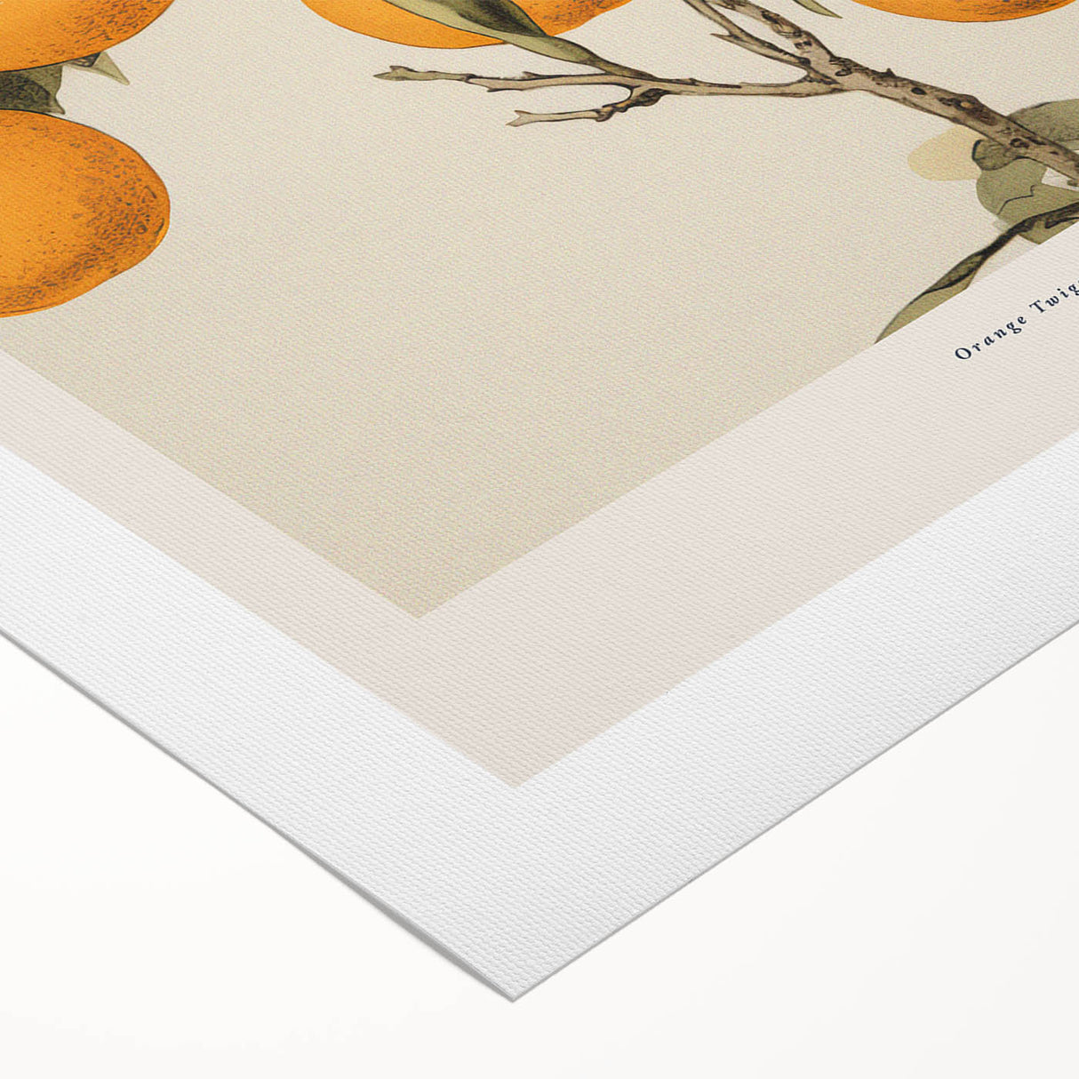 Vintage Botanical Orange Tree Print – Retro Citrus Wall Art