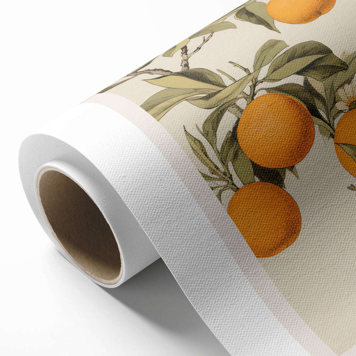 Vintage Botanical Orange Tree Print – Retro Citrus Wall Art