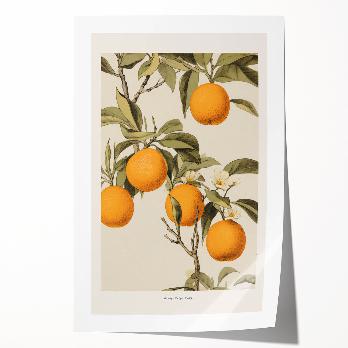 Vintage Botanical Orange Tree Print – Retro Citrus Wall Art