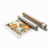 Vintage Botanical Orange Tree Print – Retro Citrus Wall Art
