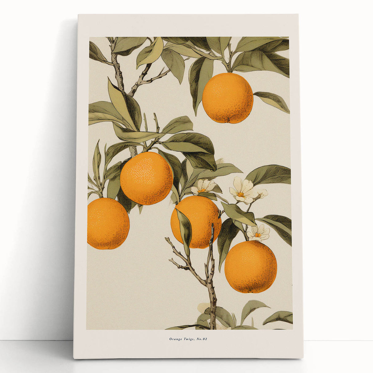 Vintage Botanical Orange Tree Print – Retro Citrus Wall Art