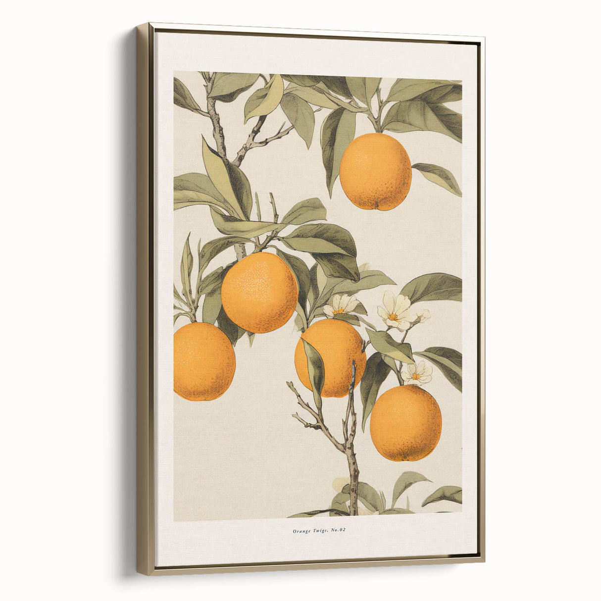 Vintage Botanical Orange Tree Print – Retro Citrus Wall Art
