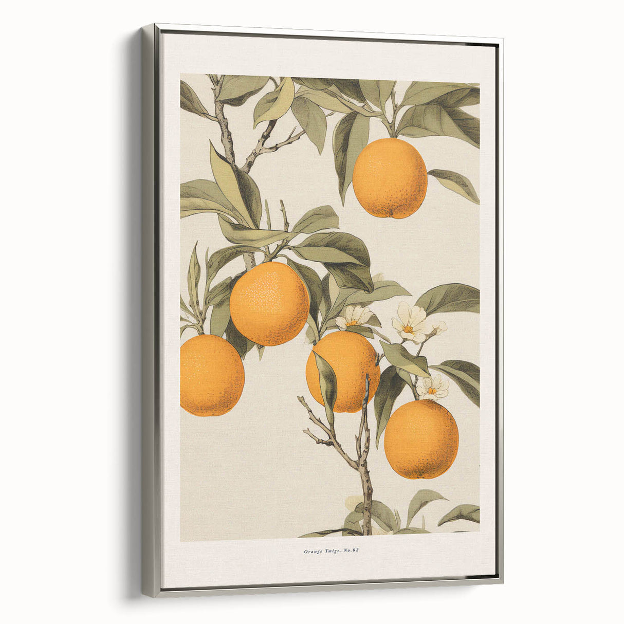 Vintage Botanical Orange Tree Print – Retro Citrus Wall Art
