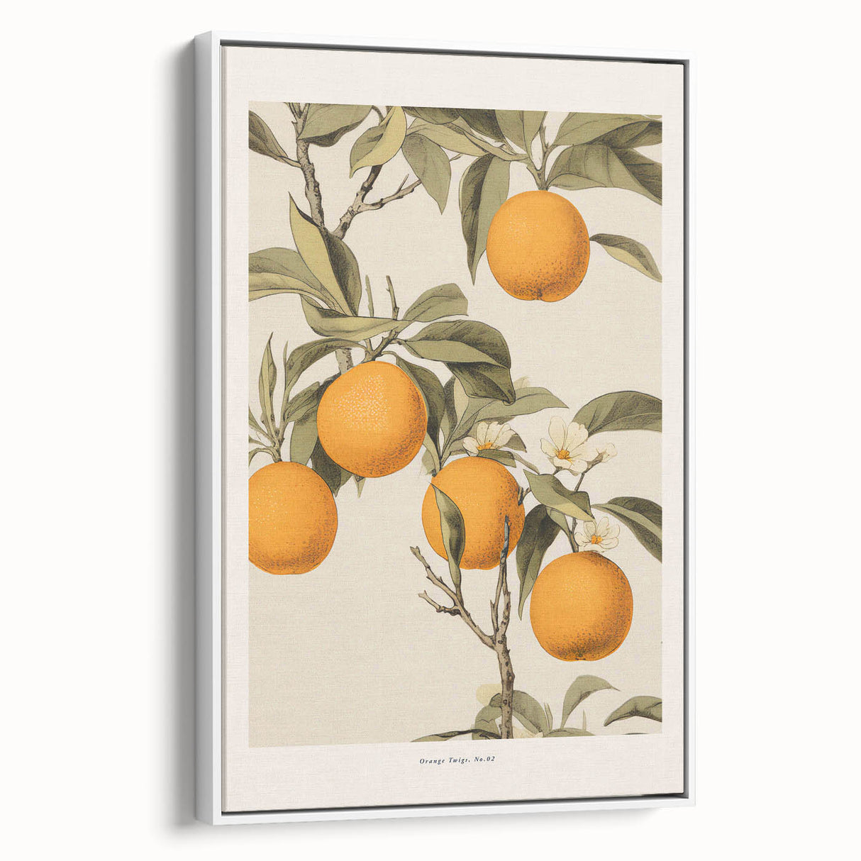 Vintage Botanical Orange Tree Print – Retro Citrus Wall Art