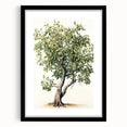 Vintage Botanical Fruit Tree Print – Classic Nature Wall Art