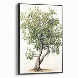 Vintage Botanical Fruit Tree Print – Classic Nature Wall Art