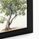 Vintage Botanical Fruit Tree Print – Classic Nature Wall Art
