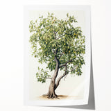 Vintage Botanical Fruit Tree Print – Classic Nature Wall Art