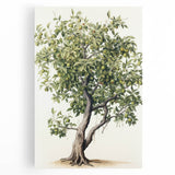 Vintage Botanical Fruit Tree Print – Classic Nature Wall Art