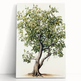 Vintage Botanical Fruit Tree Print – Classic Nature Wall Art