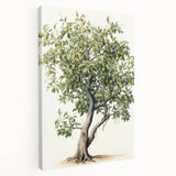 Vintage Botanical Fruit Tree Print – Classic Nature Wall Art