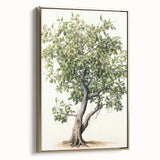 Vintage Botanical Fruit Tree Print – Classic Nature Wall Art