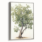 Vintage Botanical Fruit Tree Print – Classic Nature Wall Art