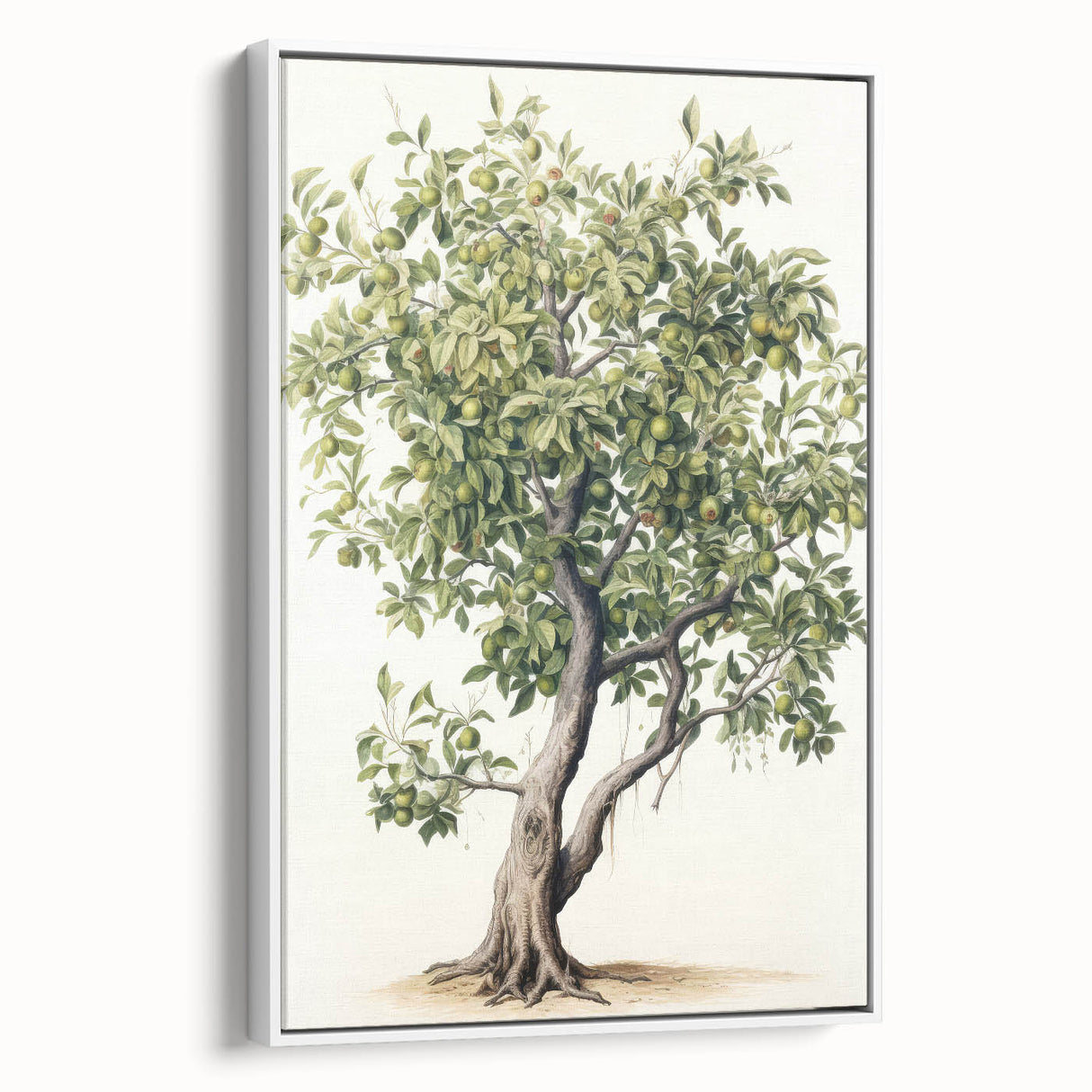 Vintage Botanical Fruit Tree Print – Classic Nature Wall Art