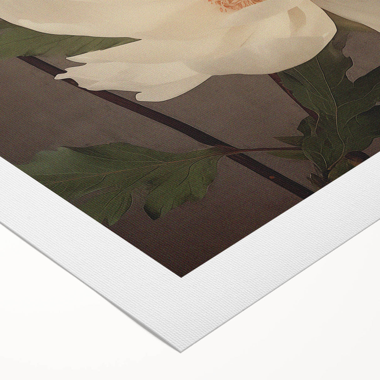 Vintage Peony Floral Print – Classic Botanical Wall Art