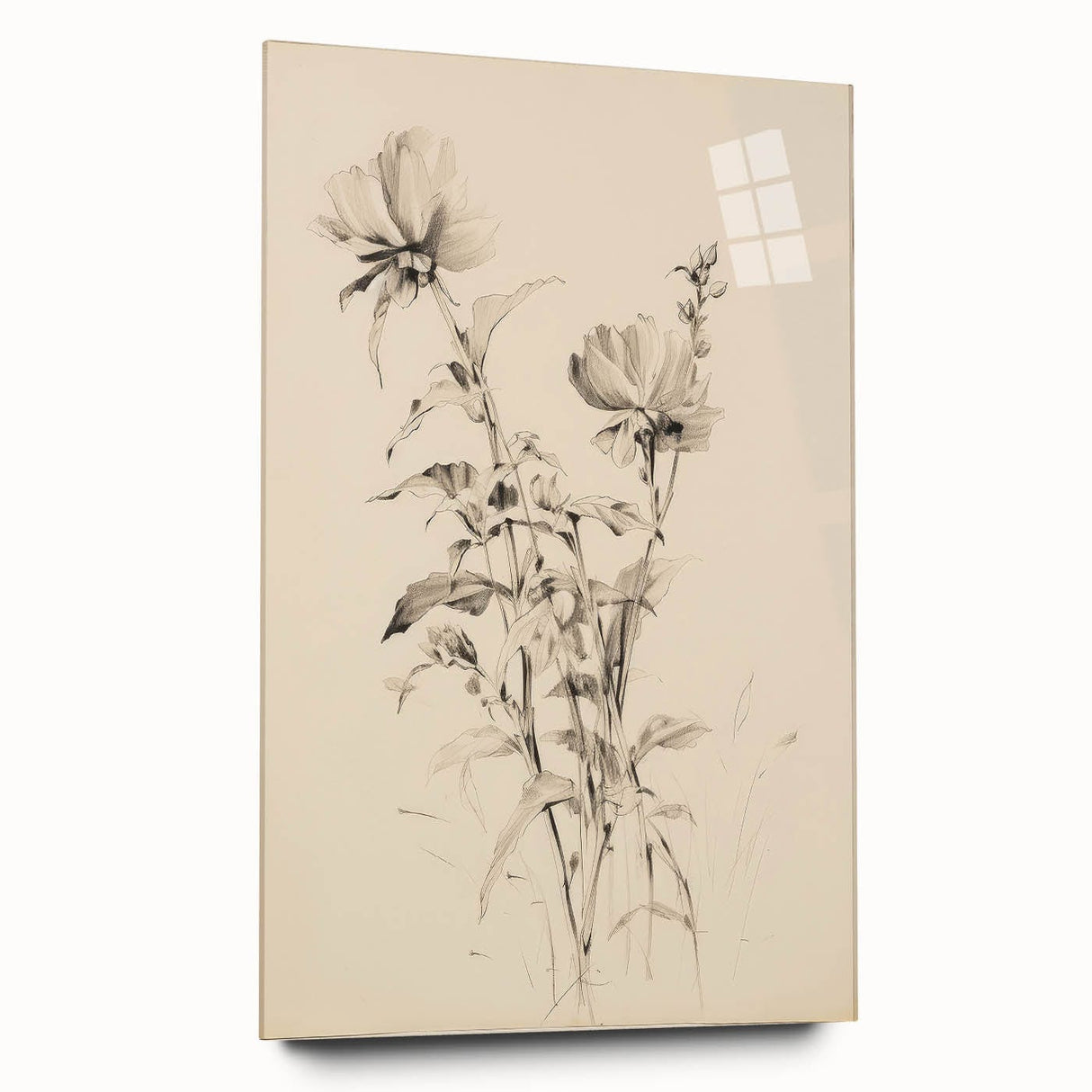 Vintage Botanical Art Prints - Antique Floral Illustrations in Black and White
