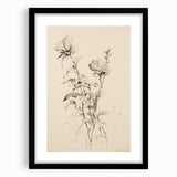 Vintage Botanical Art Prints - Antique Floral Illustrations in Black and White