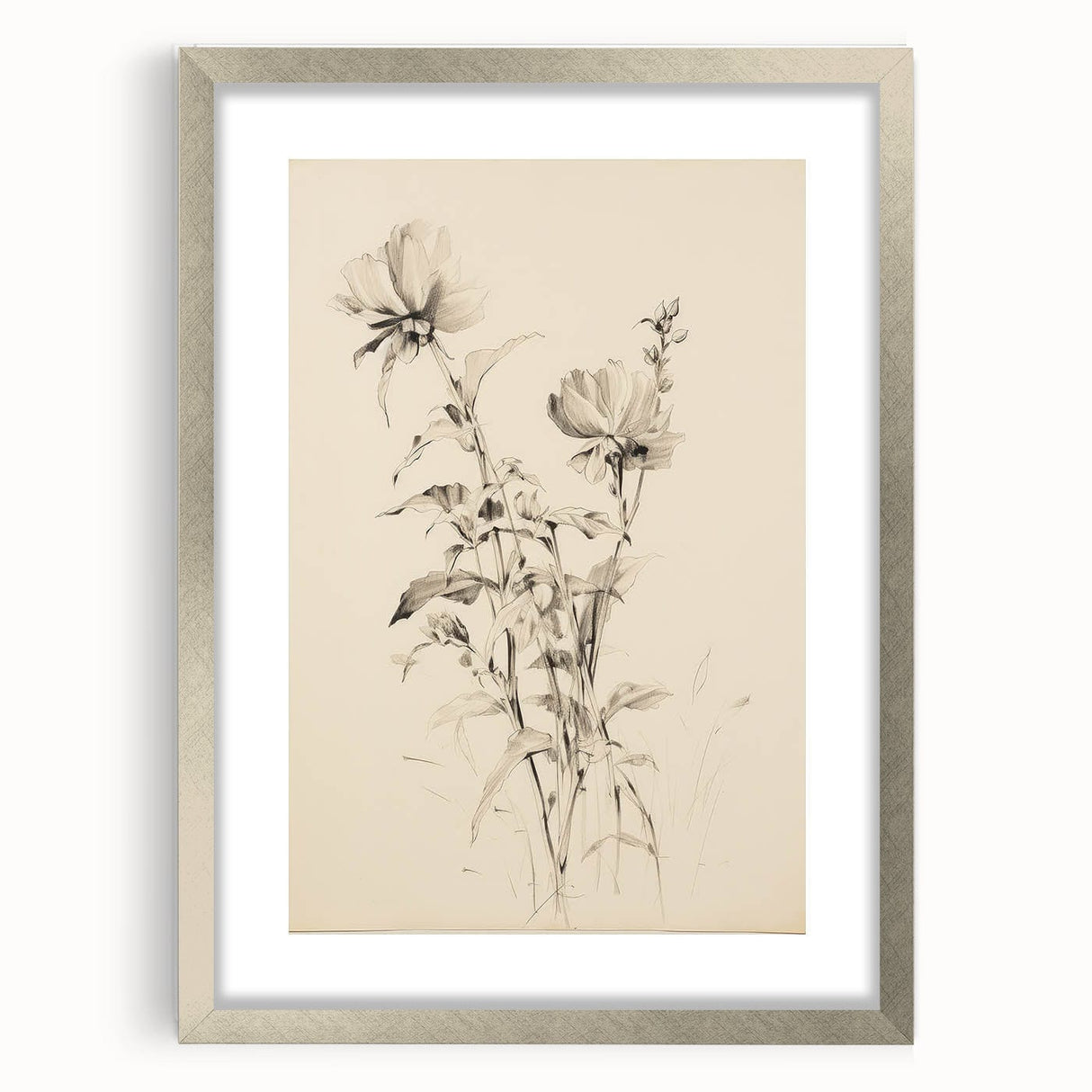 Vintage Botanical Art Prints - Antique Floral Illustrations in Black and White