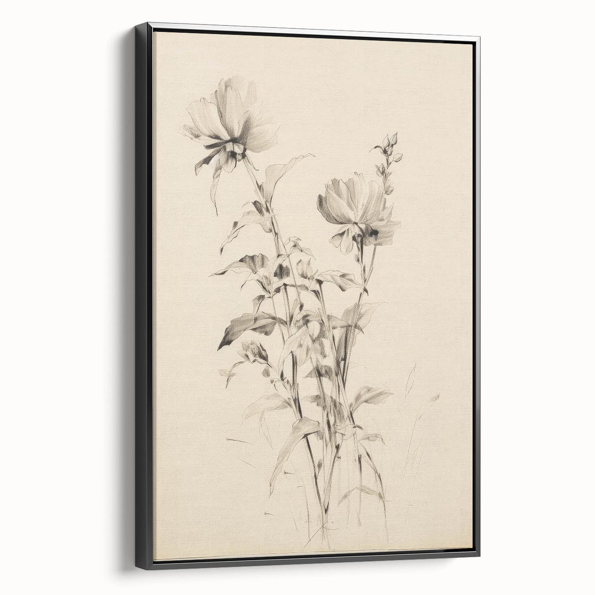 Vintage Botanical Art Prints - Antique Floral Illustrations in Black and White
