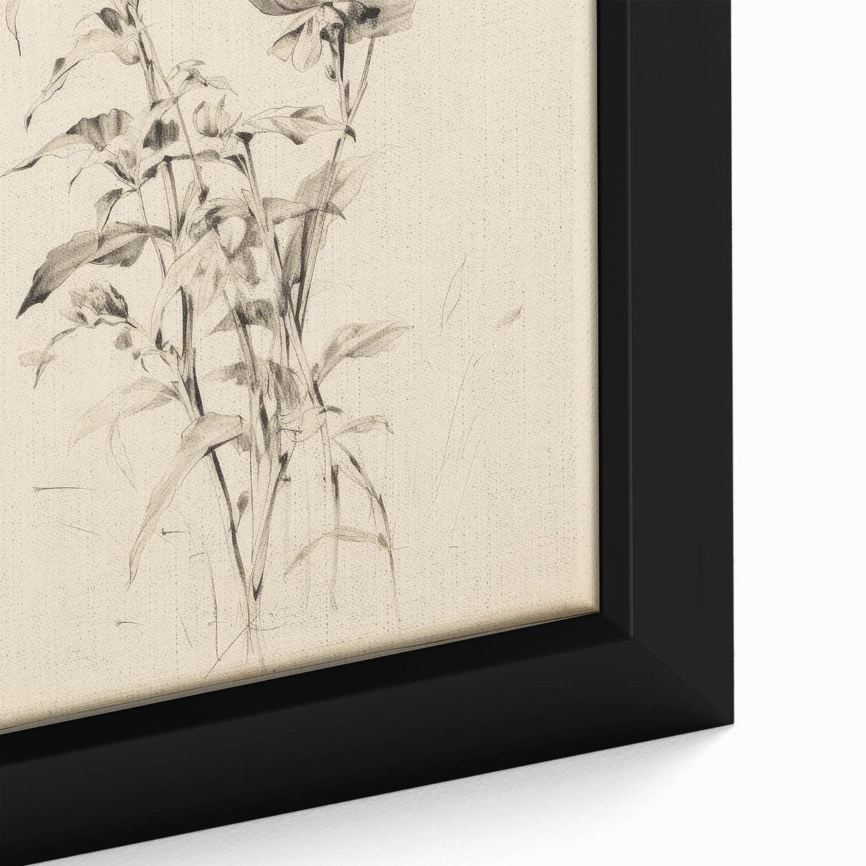 Vintage Botanical Art Prints - Antique Floral Illustrations in Black and White
